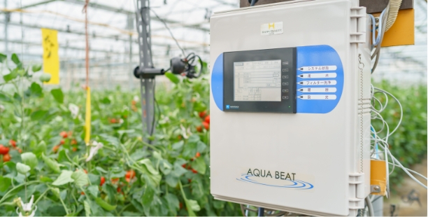 エッジ型「AI灌水制御装置」を用いた イノチオアグリとの試験栽培
