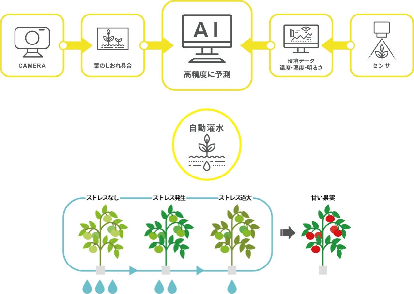 AI技術を用いた灌水制御『しおれ検知』 水やりの自動化と品質向上を実現