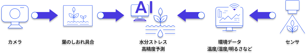 System overview of Happy Irrigation