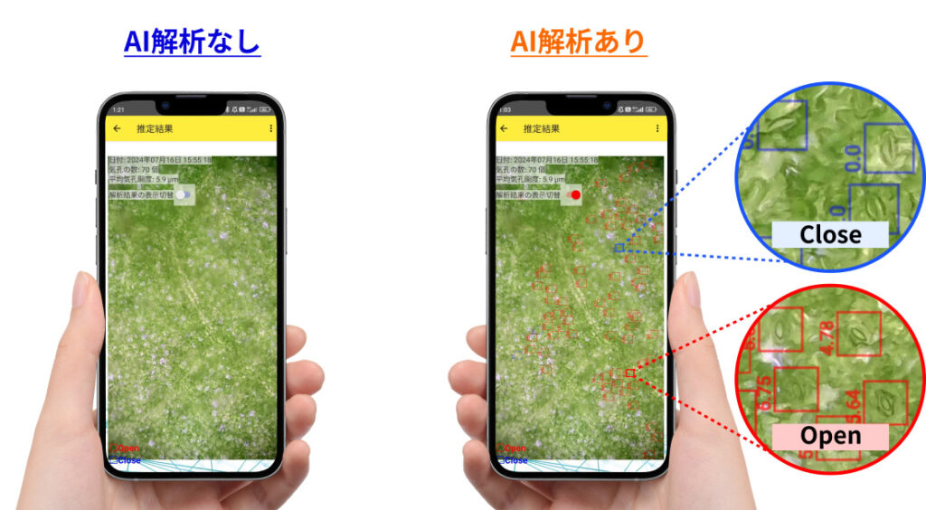 AI application for Stomata Scope