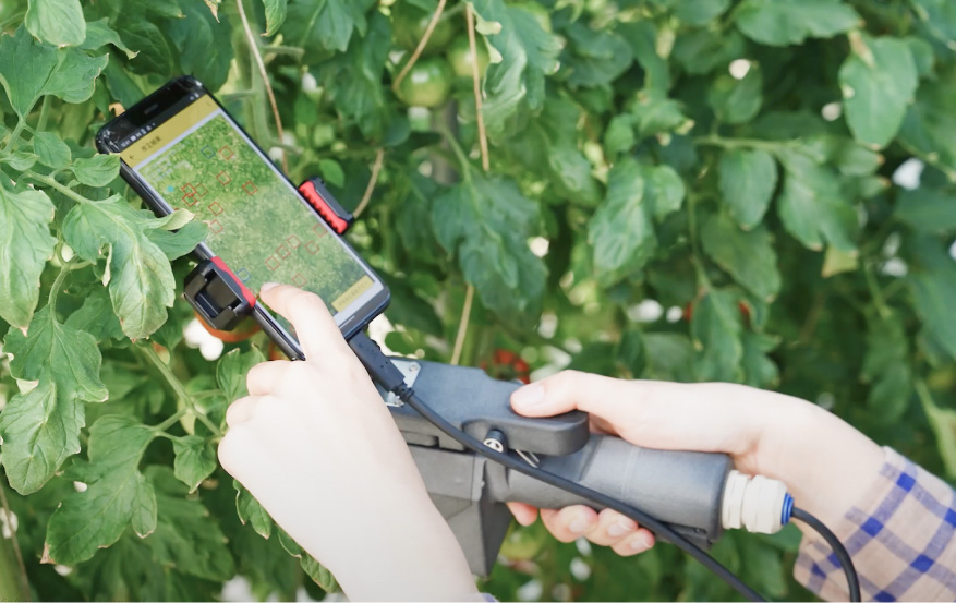 Measurement of Stomata Scope